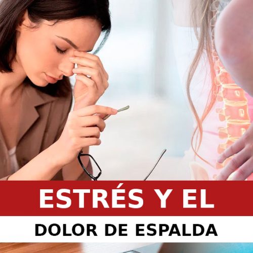 EL ESTRÉS Y EL DOLOR DE ESPALDA EL ESTRÉS Y EL DOLOR DE ESPALDA