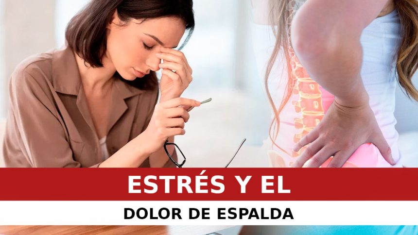 EL ESTRÉS Y EL DOLOR DE ESPALDA