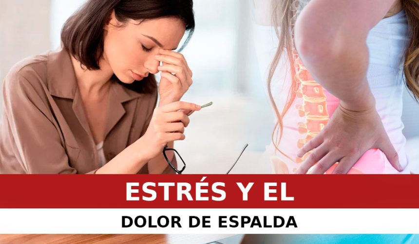 EL ESTRÉS Y EL DOLOR DE ESPALDA